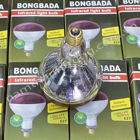 Bóng-đèn-Bongbada